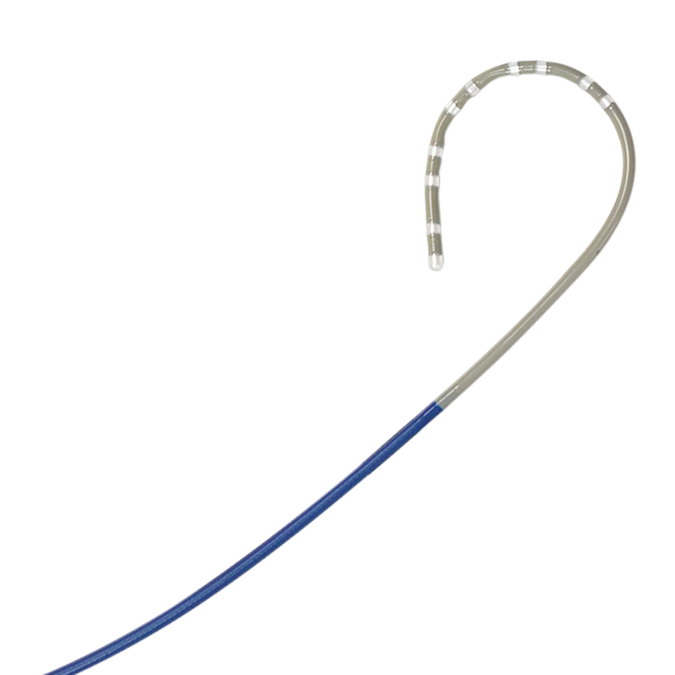 POLARIS X™ Steerable Diagnostic Catheters Boston Scientific